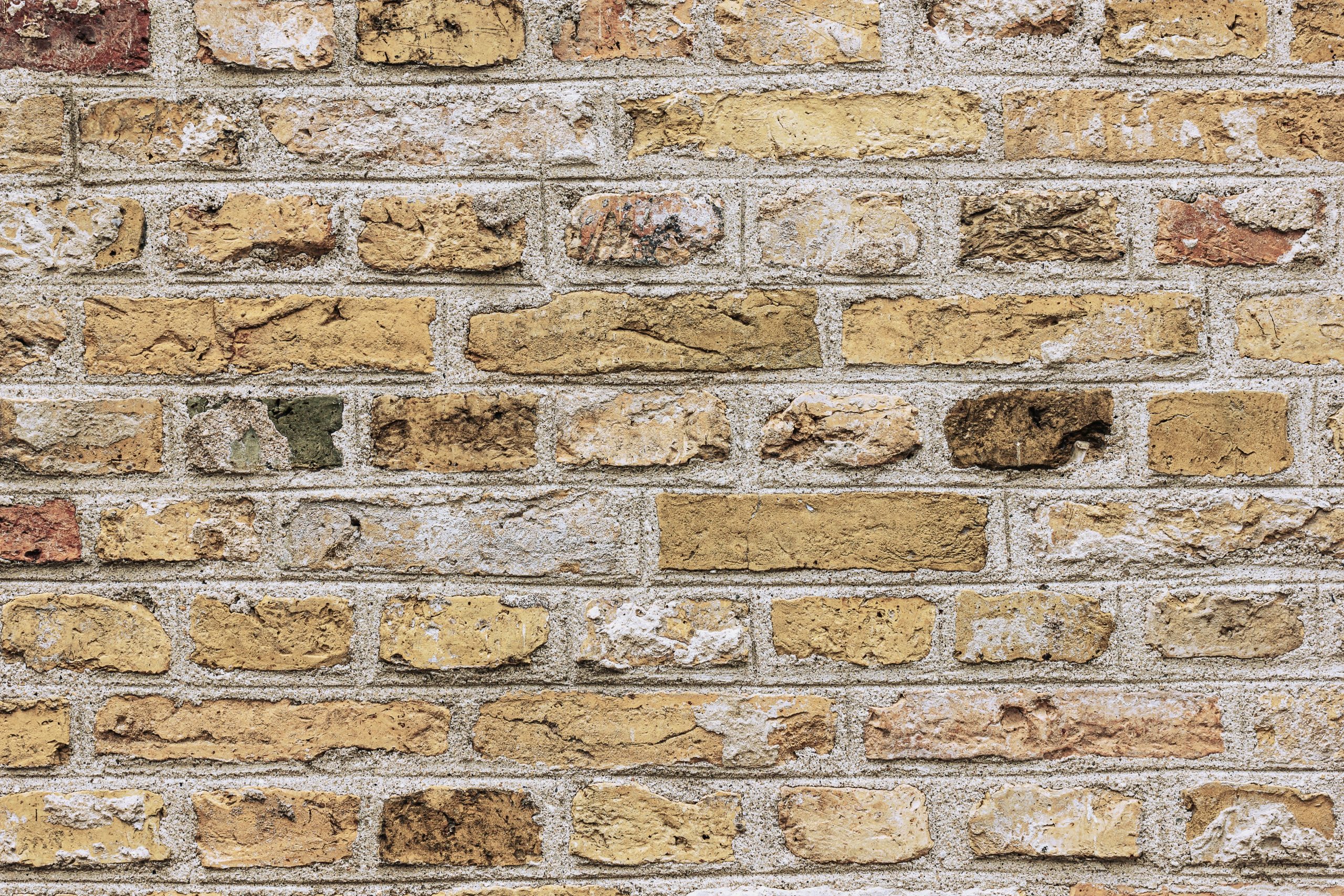 Schelpkalk voegmortel fijn