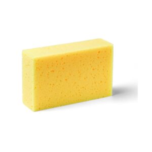 Kalkspons
