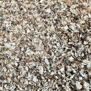 Fijn Gewassen Schelpengruis 1–2,5 mm voor Kalkmortel, Voegwerk en Pleisterwerk